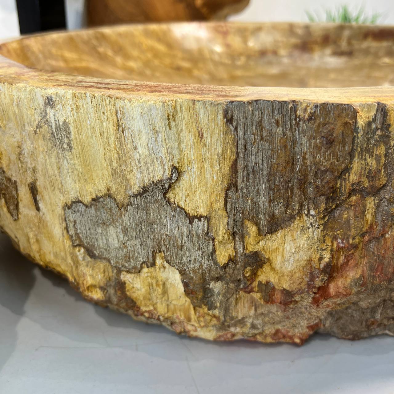 Раковина из окаменелого дерева ПАРА! OD-66878 62*55*15 из натурального камня