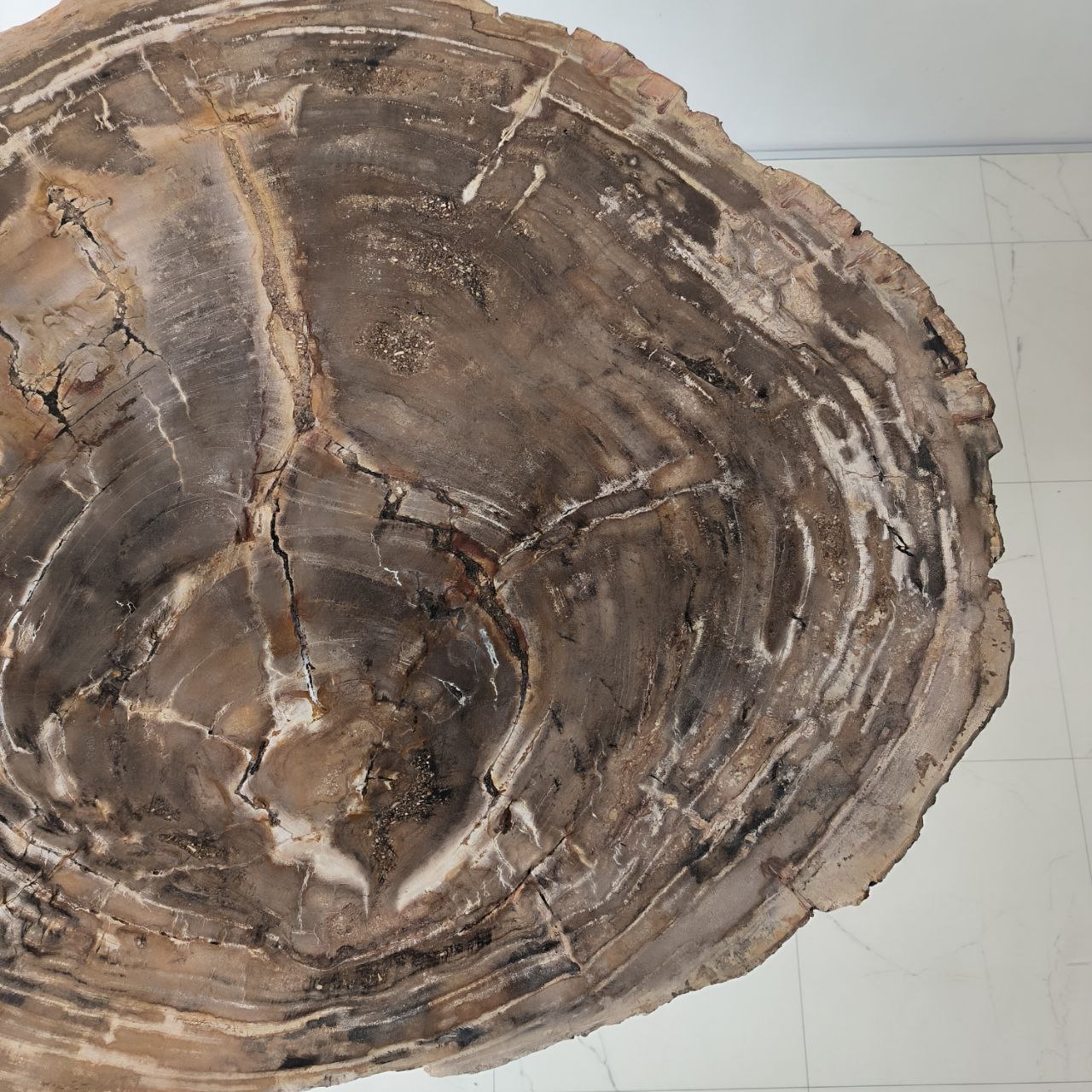 9q13tpm7hz3rufi2267mc06w36vl3yff