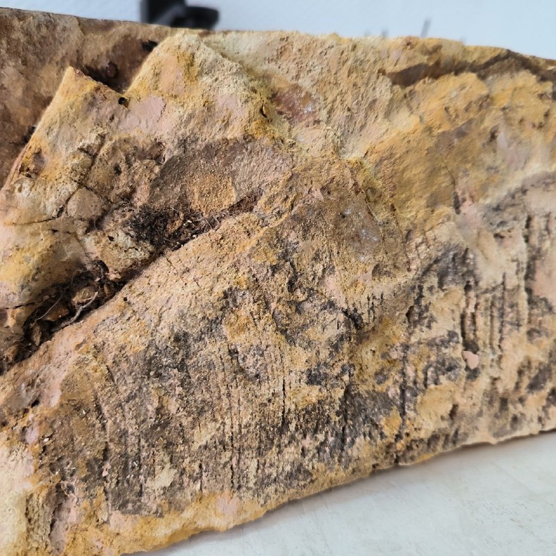 ebw6en68f5feb3yrif9zshe30m8lvogg