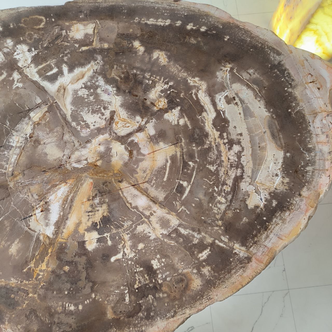 g0v41feqo6nc4rxggtyxn4ghts5qr25r