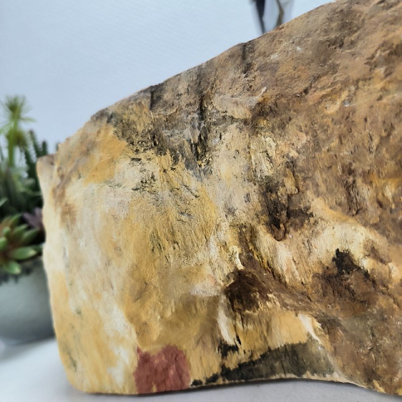 1bhjp42x9r6d05fxkvqkvw51lhdkavop