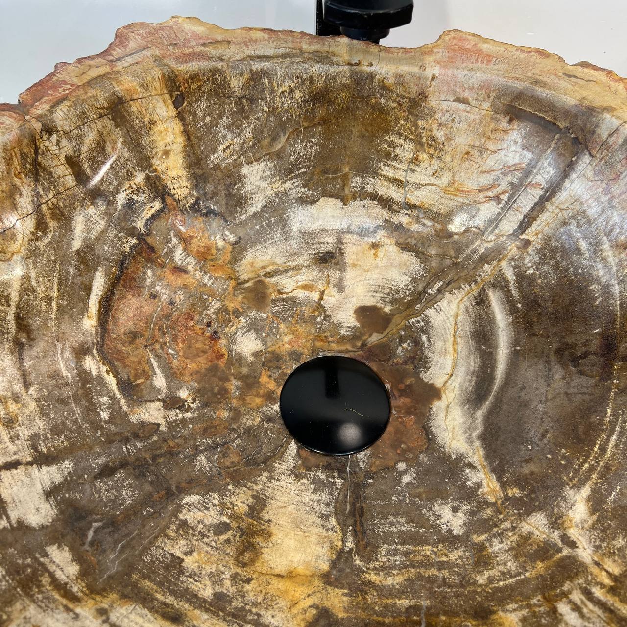 Раковина из окаменелого дерева ПАРА! OD-67011 63*46*16 из натурального камня