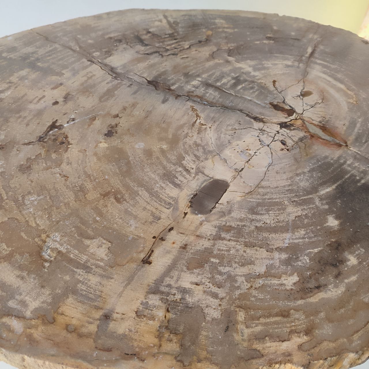 hfh75vw5r2i8x73g6tvvqmwe2982f6ao