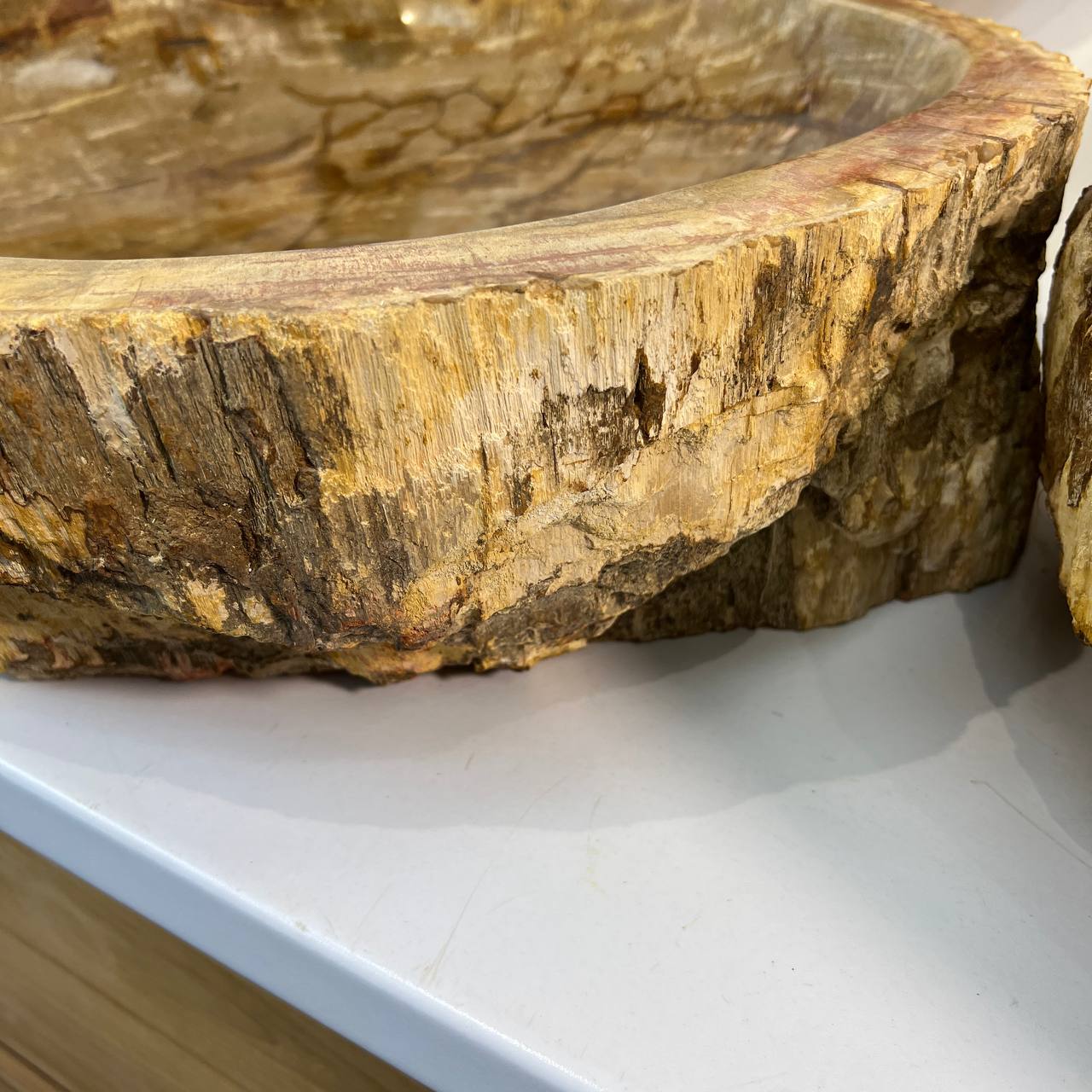 Раковина из окаменелого дерева ПАРА! OD-66878 62*55*15 из натурального камня