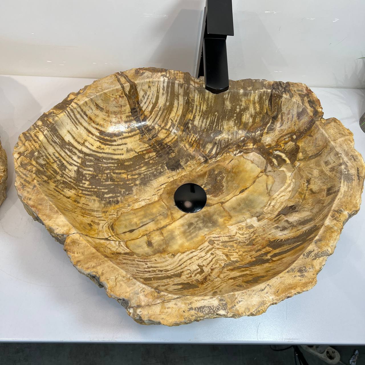 Раковина из окаменелого дерева ПАРА! OD-66907 63*49*15 из натурального камня