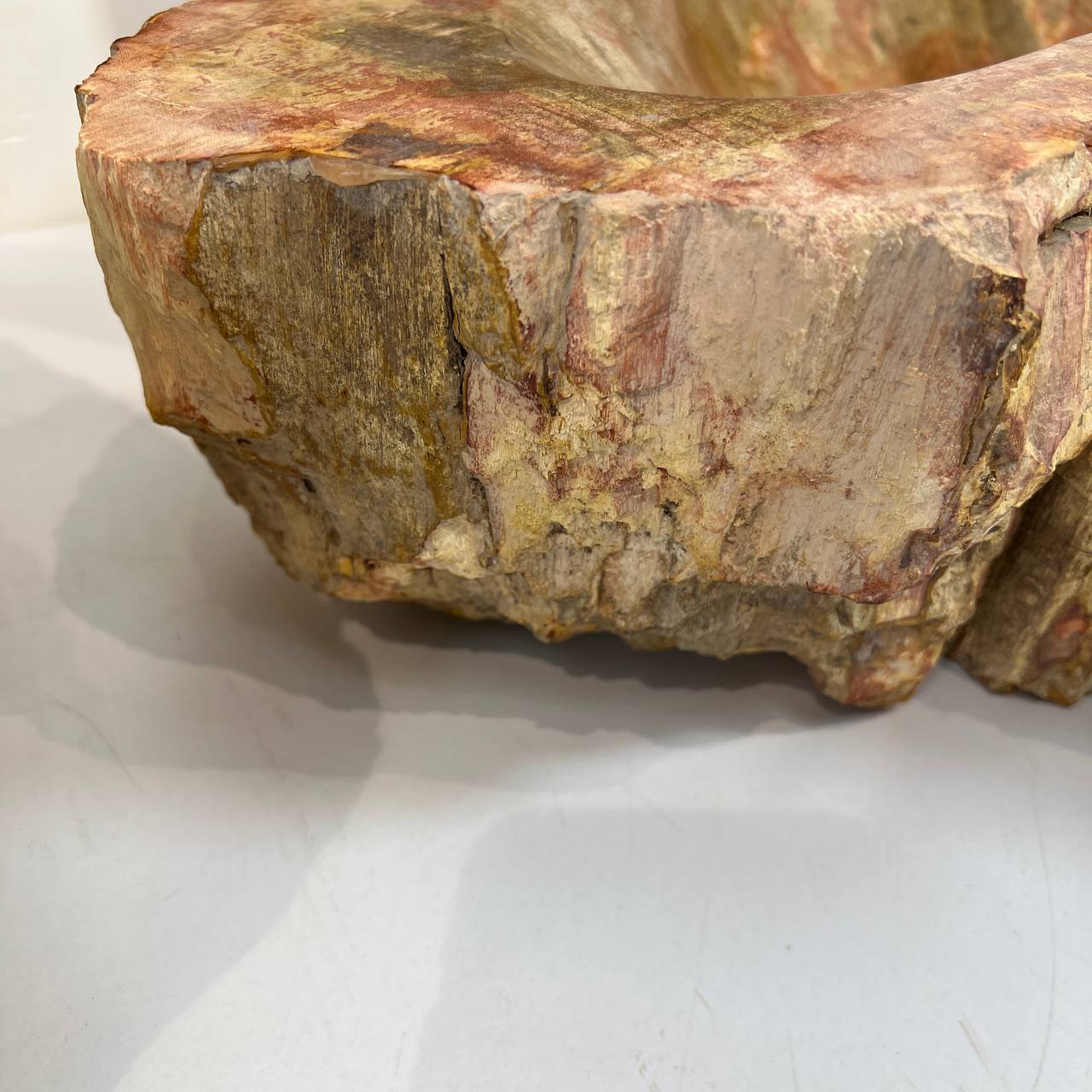 Раковина из окаменелого дерева ПАРА! OD-66876 62*45*16 из натурального камня