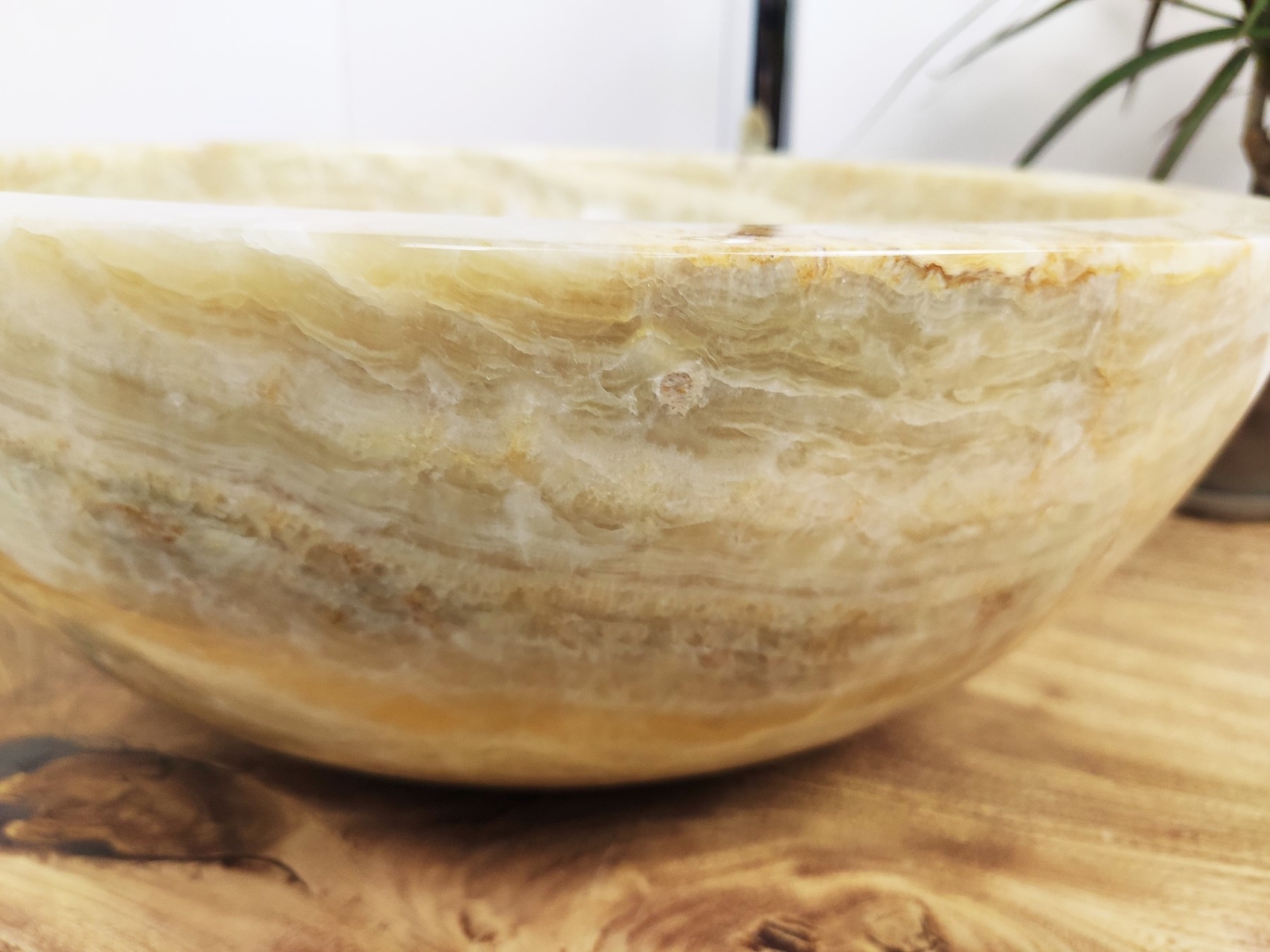 0f5a01521932d235266f5bb16924885d