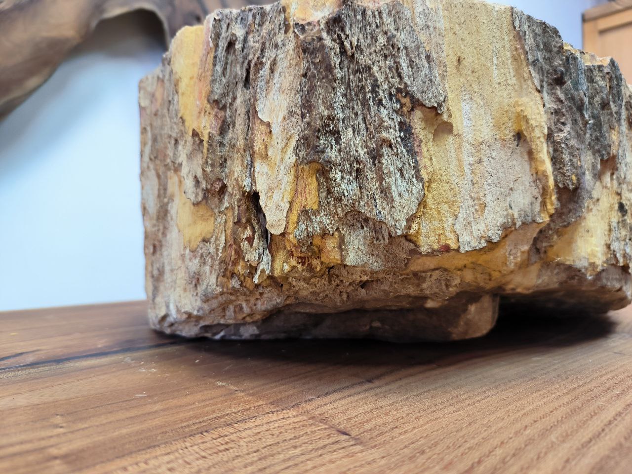 photo_2025-05-14_17-20-44 (2)