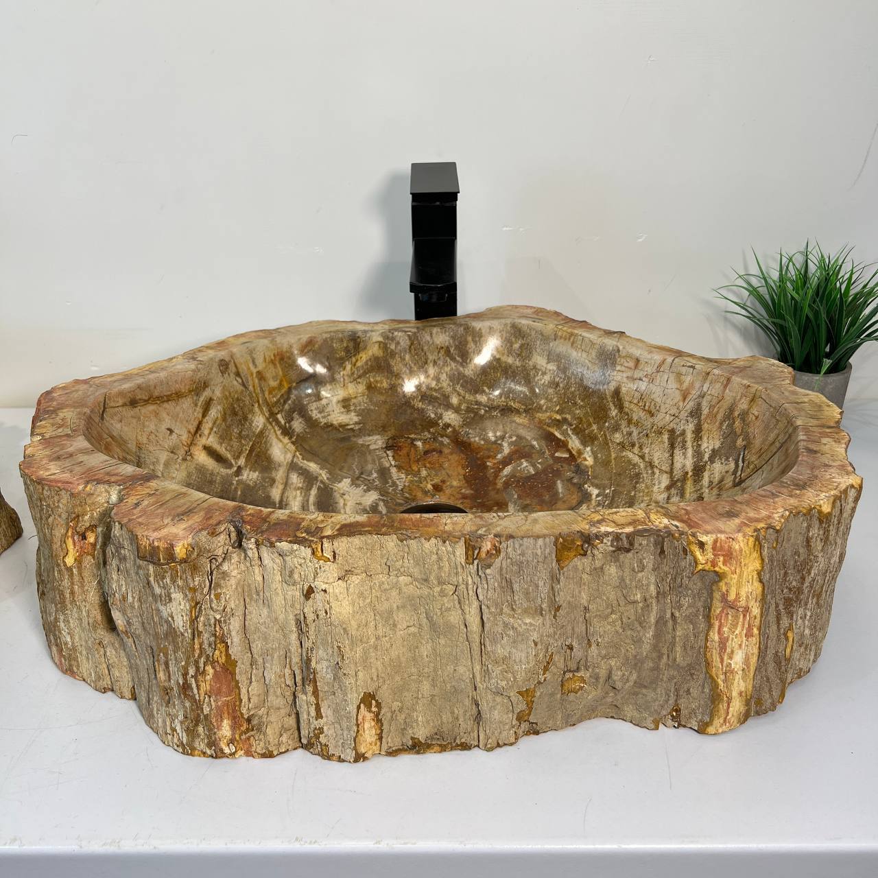 Раковина из окаменелого дерева ПАРА! OD-67011 63*46*16 из натурального камня