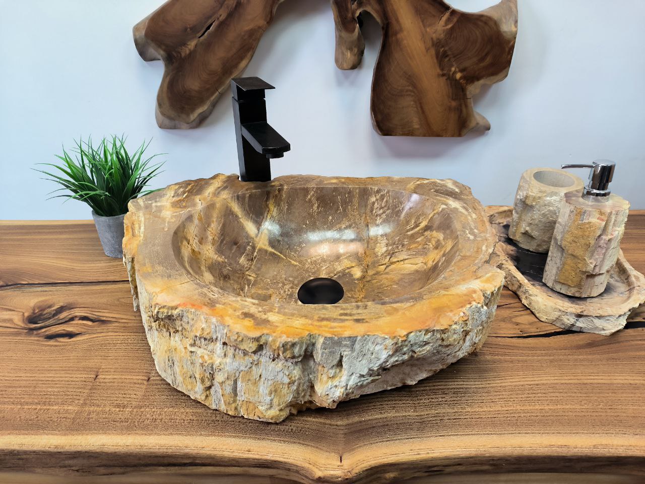 Раковина из окаменелого дерева от 50см до 59см шириной