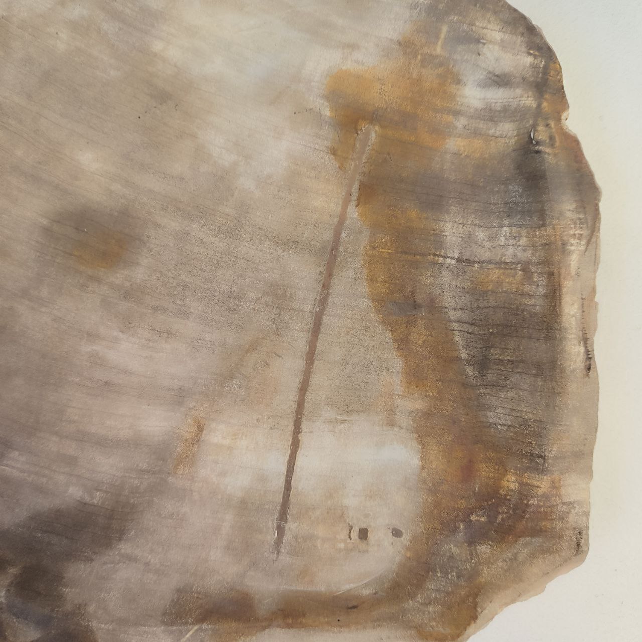 yq358rzhuhxmqynmznb8uk14l8vrrbd7