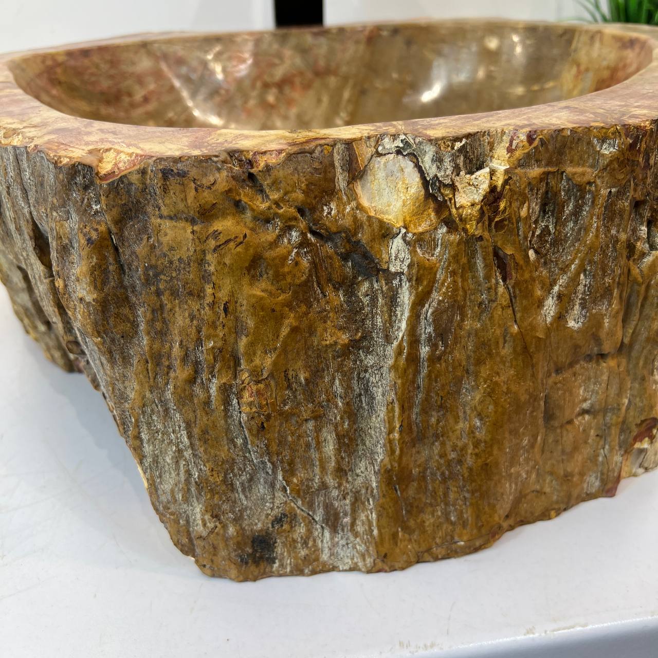 Раковина из окаменелого дерева ПАРА! OD-67004 51*44*16 из натурального камня