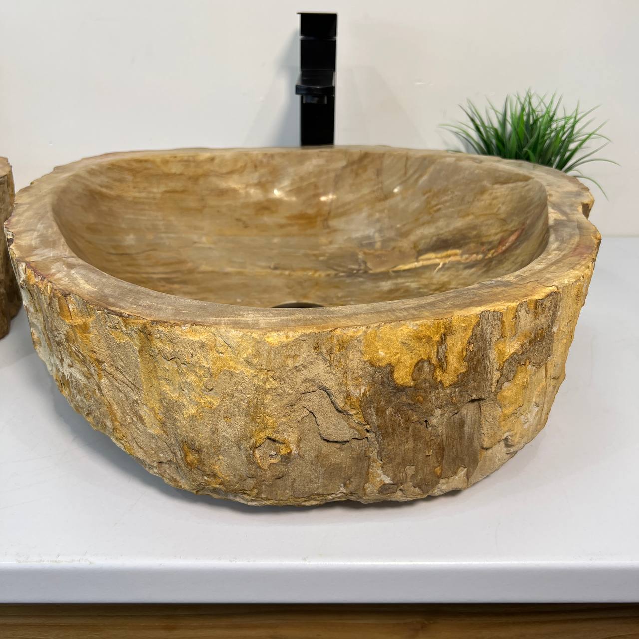 Раковина из окаменелого дерева ПАРА! OD-66881 53*50*15 из натурального камня