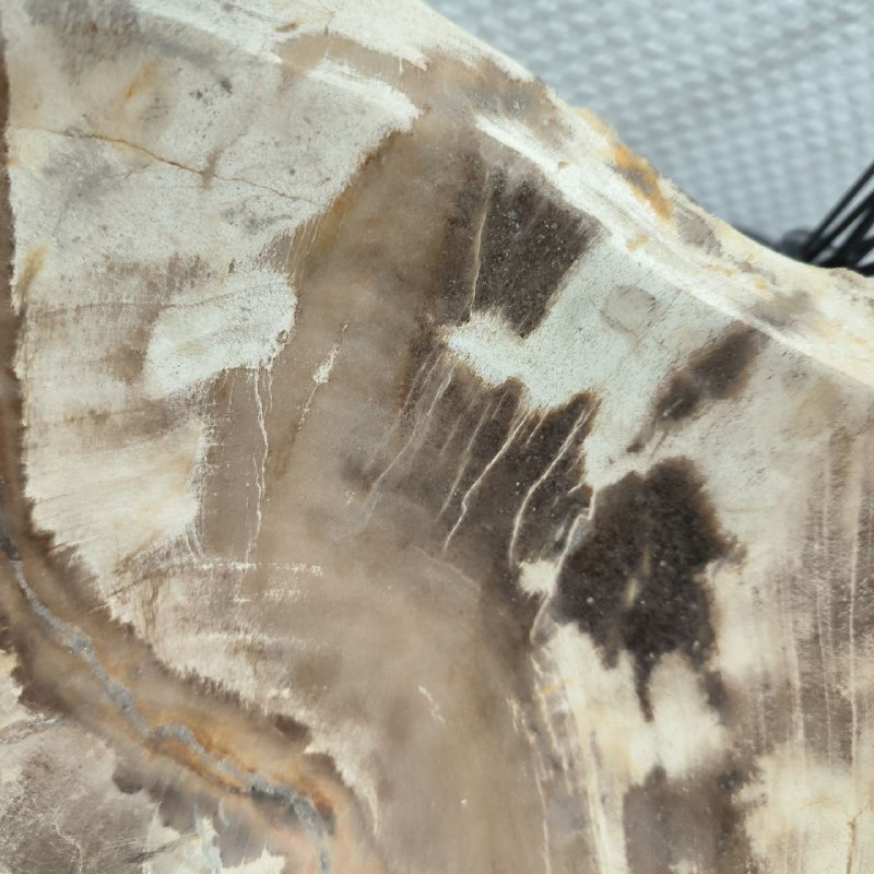 q4j6rz8dllcik5746luvc0c11jkplz3z