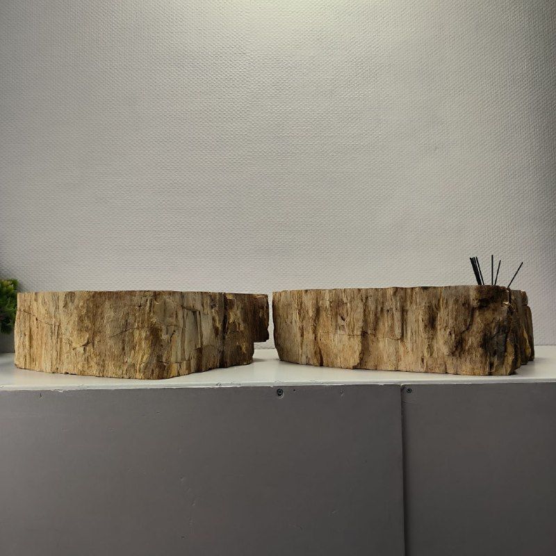 Раковина из окаменелого дерева ПАРА! OD-62096 55*55*15 2шт из натурального камня
