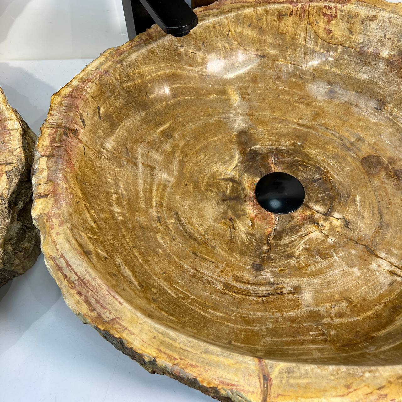 Раковина из окаменелого дерева ПАРА! OD-66878 62*55*15 из натурального камня