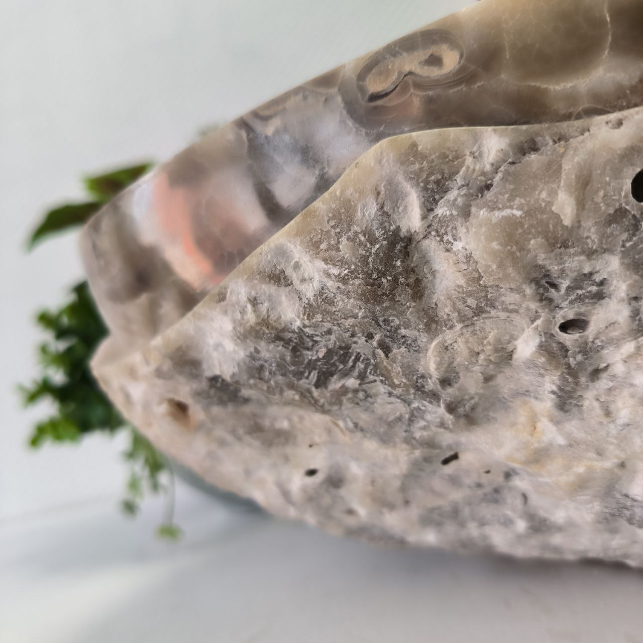 yea9dgri9091u02w2jp8d8wnsou1es5e