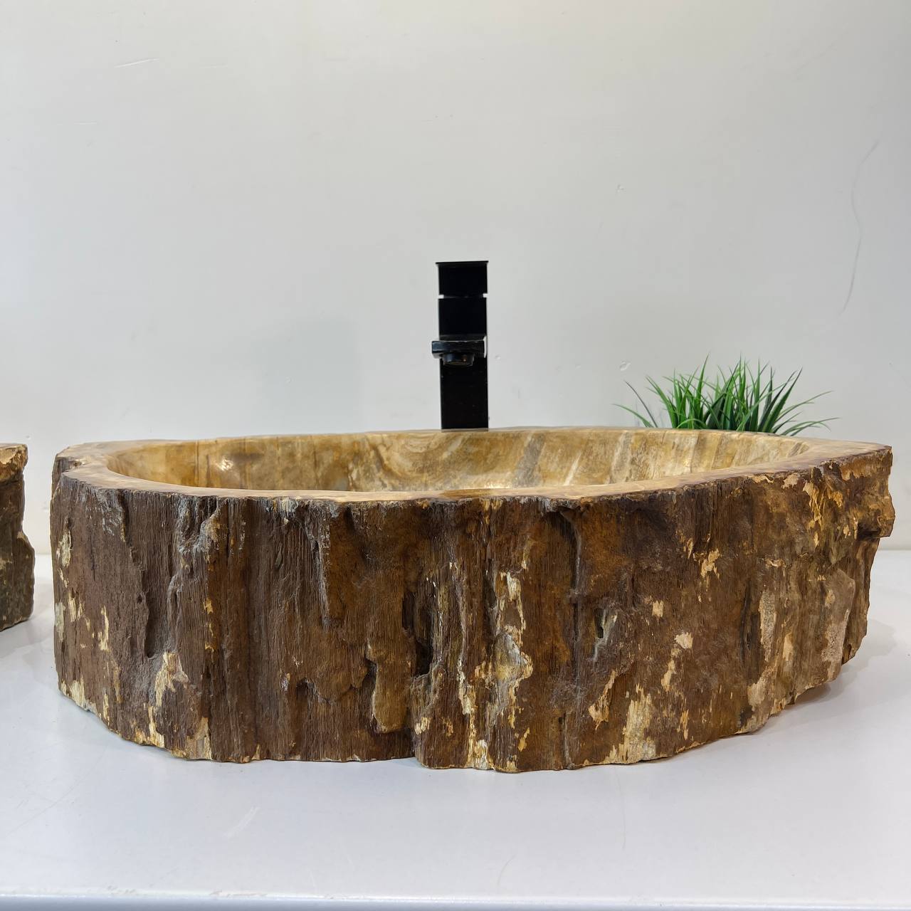 Раковина из окаменелого дерева ПАРА! OD-67003 61*34*15 из натурального камня