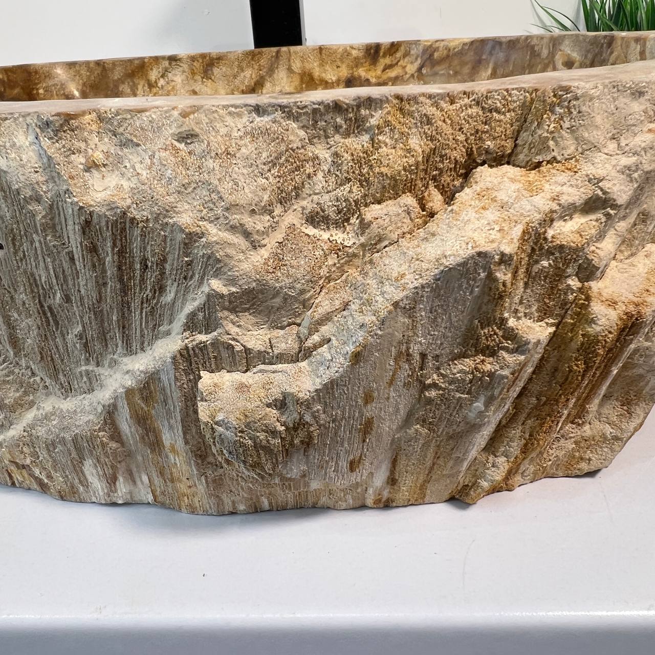 Раковина из окаменелого дерева ПАРА! OD-66941 53*42*15 из натурального камня