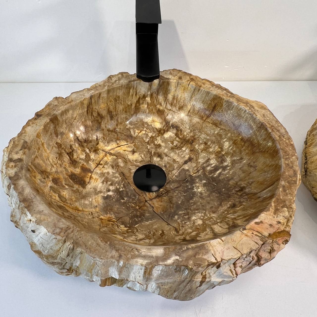 Раковина из окаменелого дерева ПАРА! OD-66941 53*42*15 из натурального камня