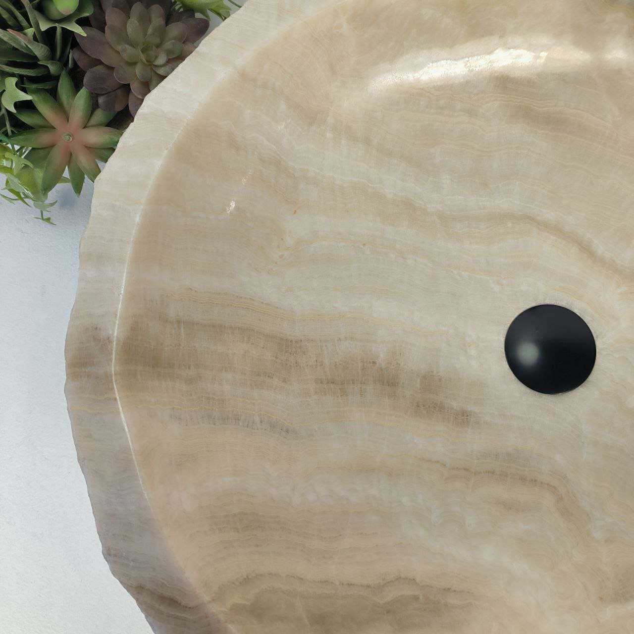 nkhj03sengfo5pp7nxpi91mts3sgzorn