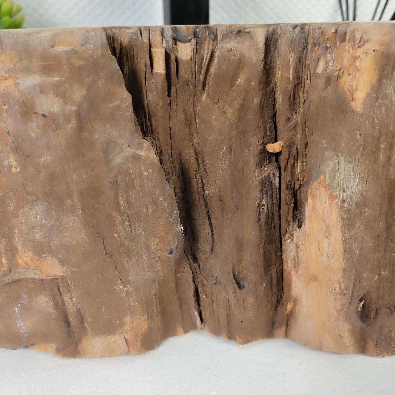 vcw8mxbg6vyk5g3p2p79camewjy8arf6