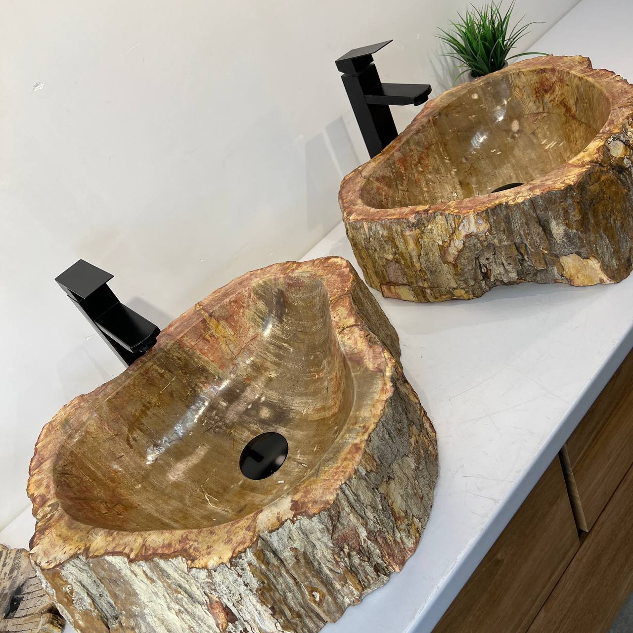 Раковина из окаменелого дерева ПАРА! OD-67004 51*44*16 из натурального камня