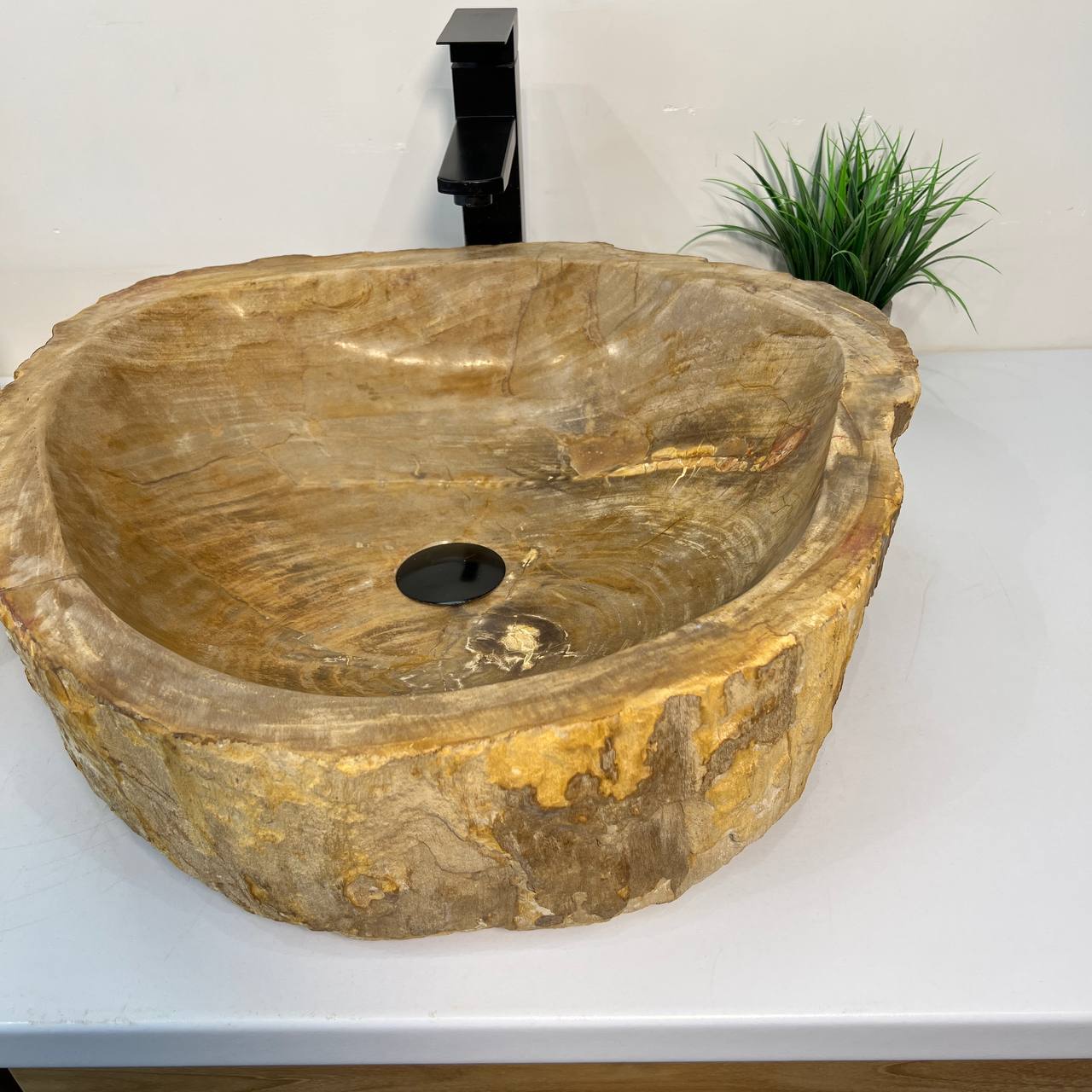 Раковина из окаменелого дерева ПАРА! OD-66881 53*50*15 из натурального камня