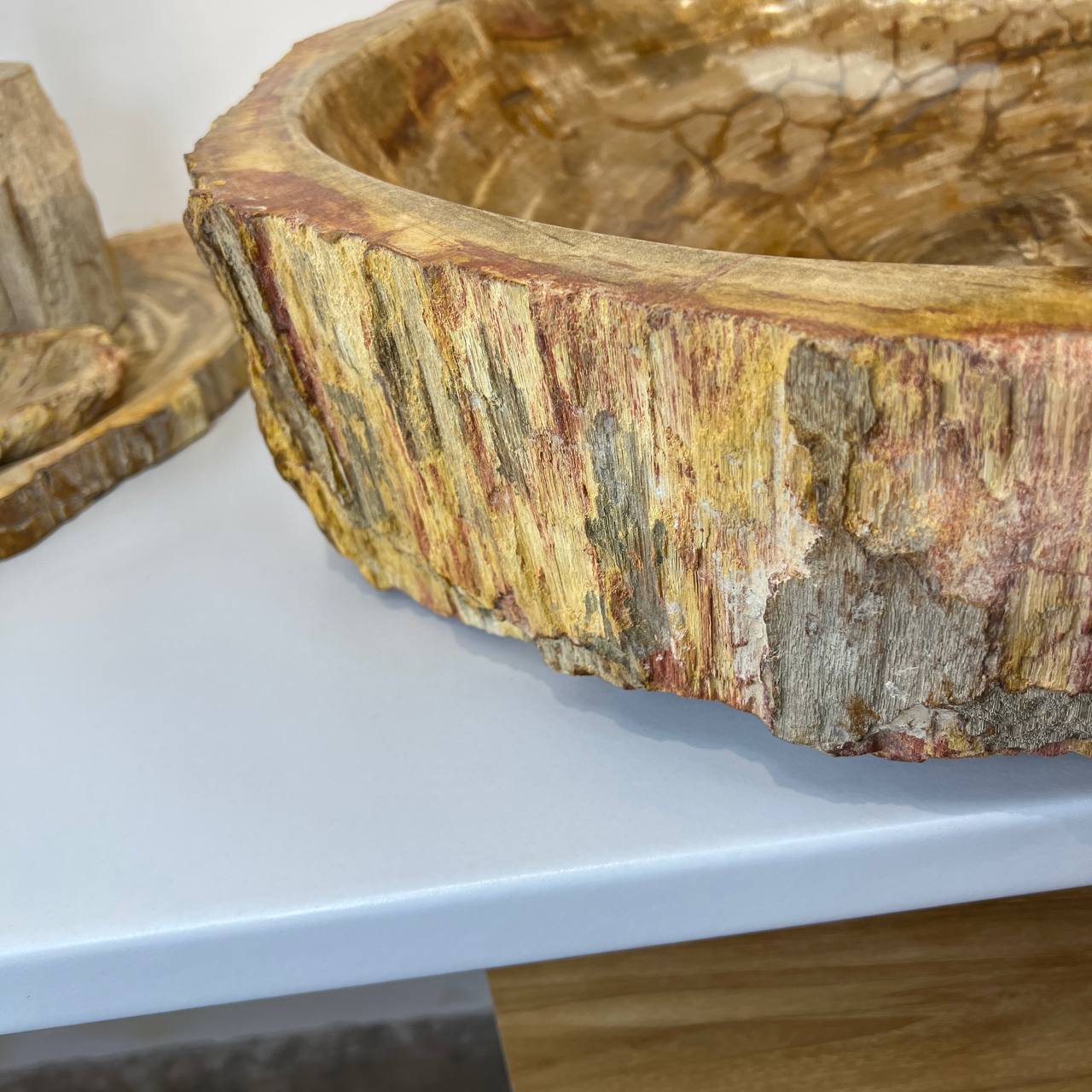 Раковина из окаменелого дерева ПАРА! OD-66878 62*55*15 из натурального камня