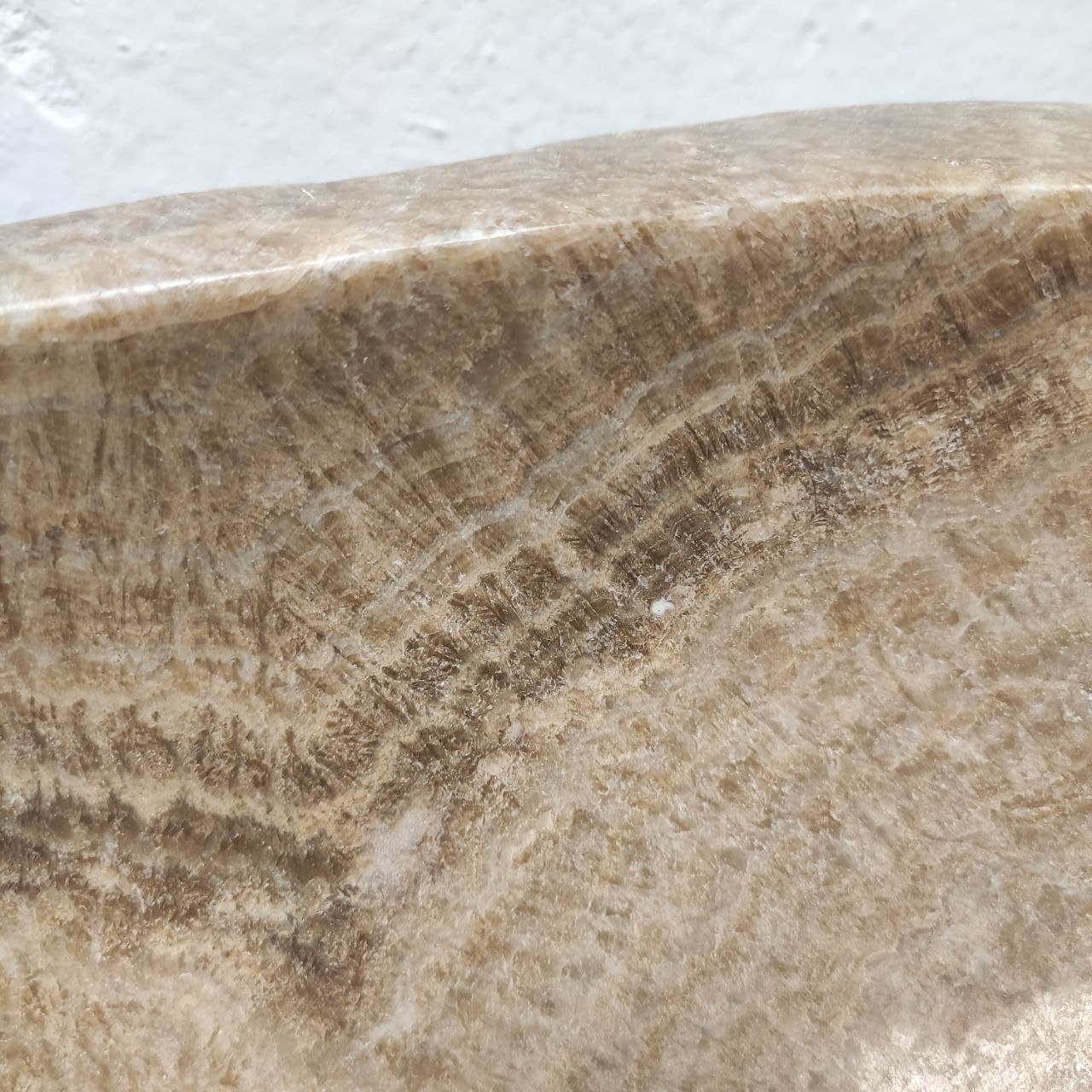 vo7bt86tfv9s8nbjem1l39nomsm9egn3