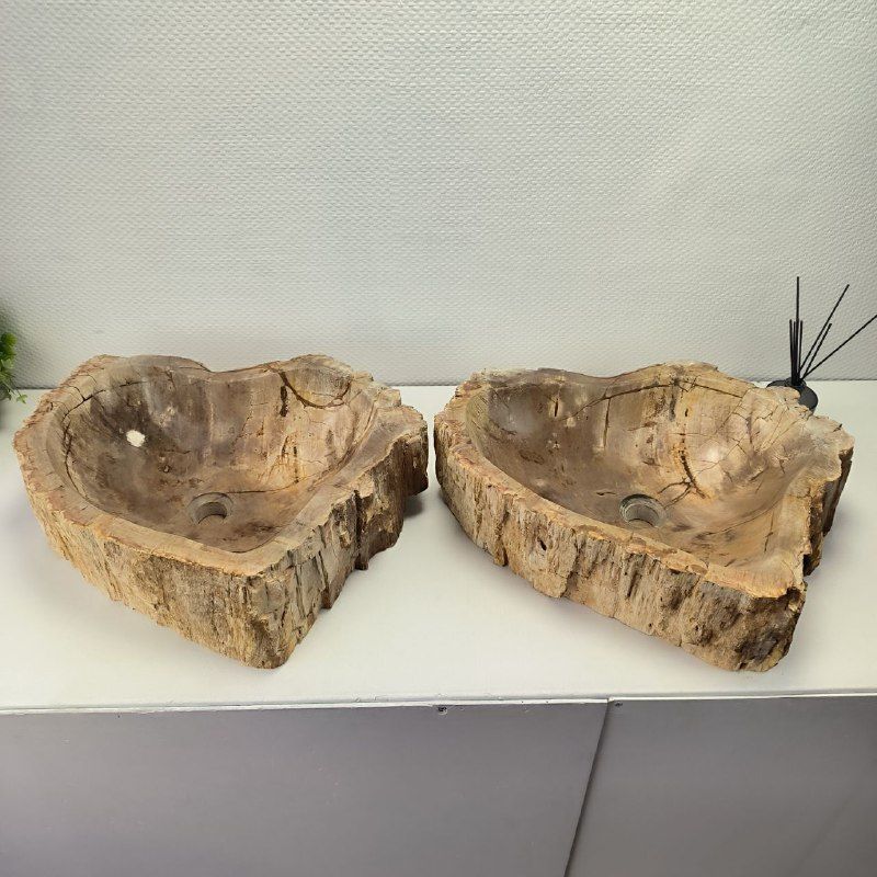 Раковина из окаменелого дерева ПАРА! OD-62096 55*55*15 2шт из натурального камня