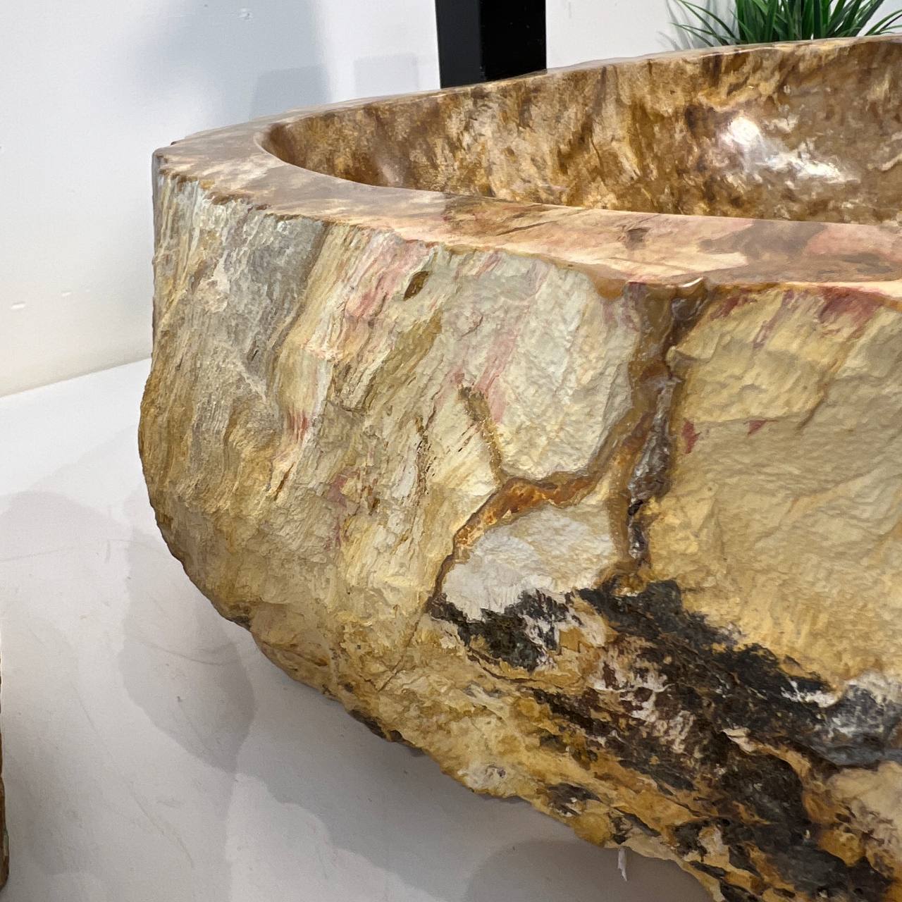 Раковина из окаменелого дерева ПАРА! OD-66941 53*42*15 из натурального камня