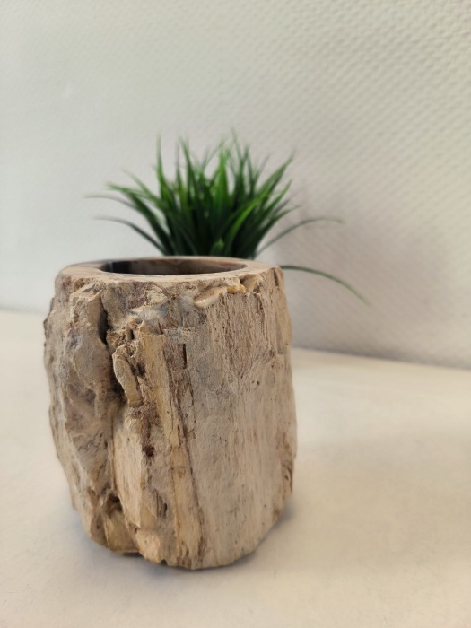 photo_2025-03-24_17-22-21 (2)