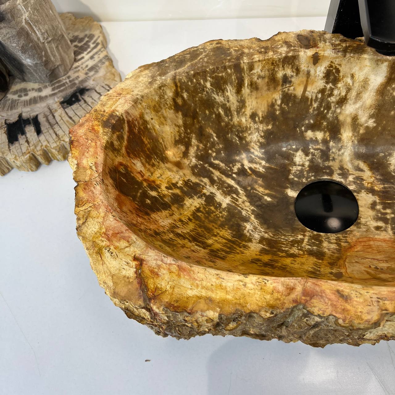 Раковина из окаменелого дерева ПАРА! OD-67005 51*30*15 из натурального камня