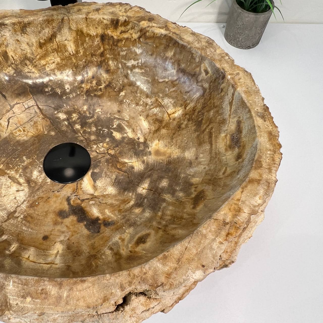 Раковина из окаменелого дерева ПАРА! OD-66941 53*42*15 из натурального камня