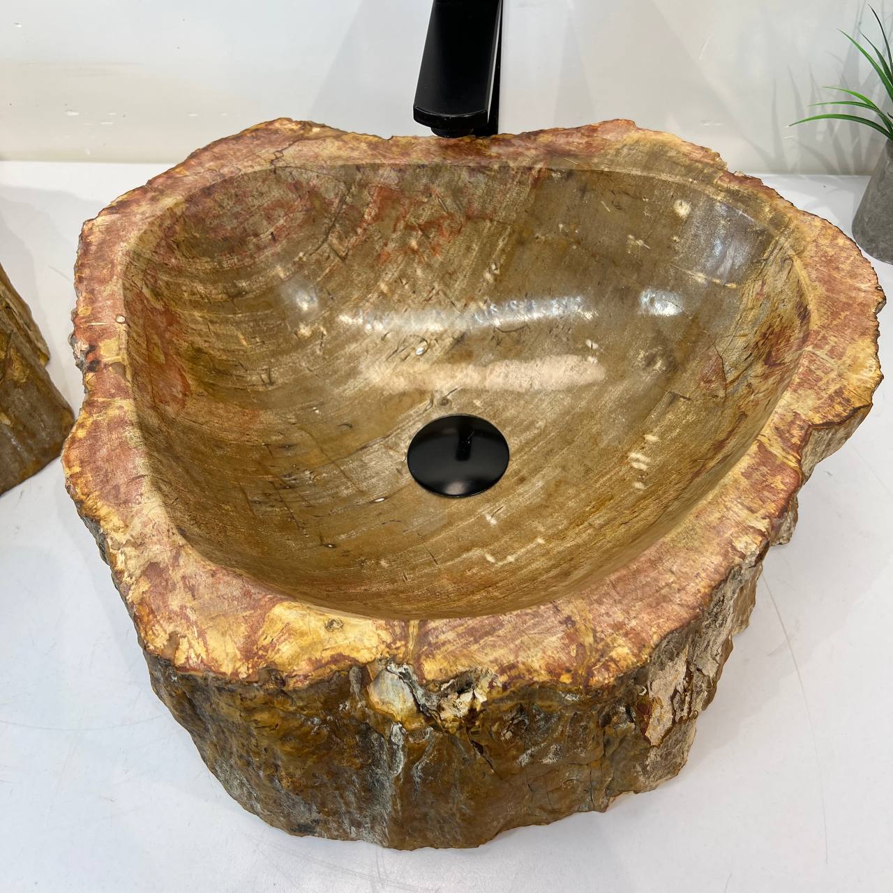 Раковина из окаменелого дерева ПАРА! OD-67004 51*44*16 из натурального камня