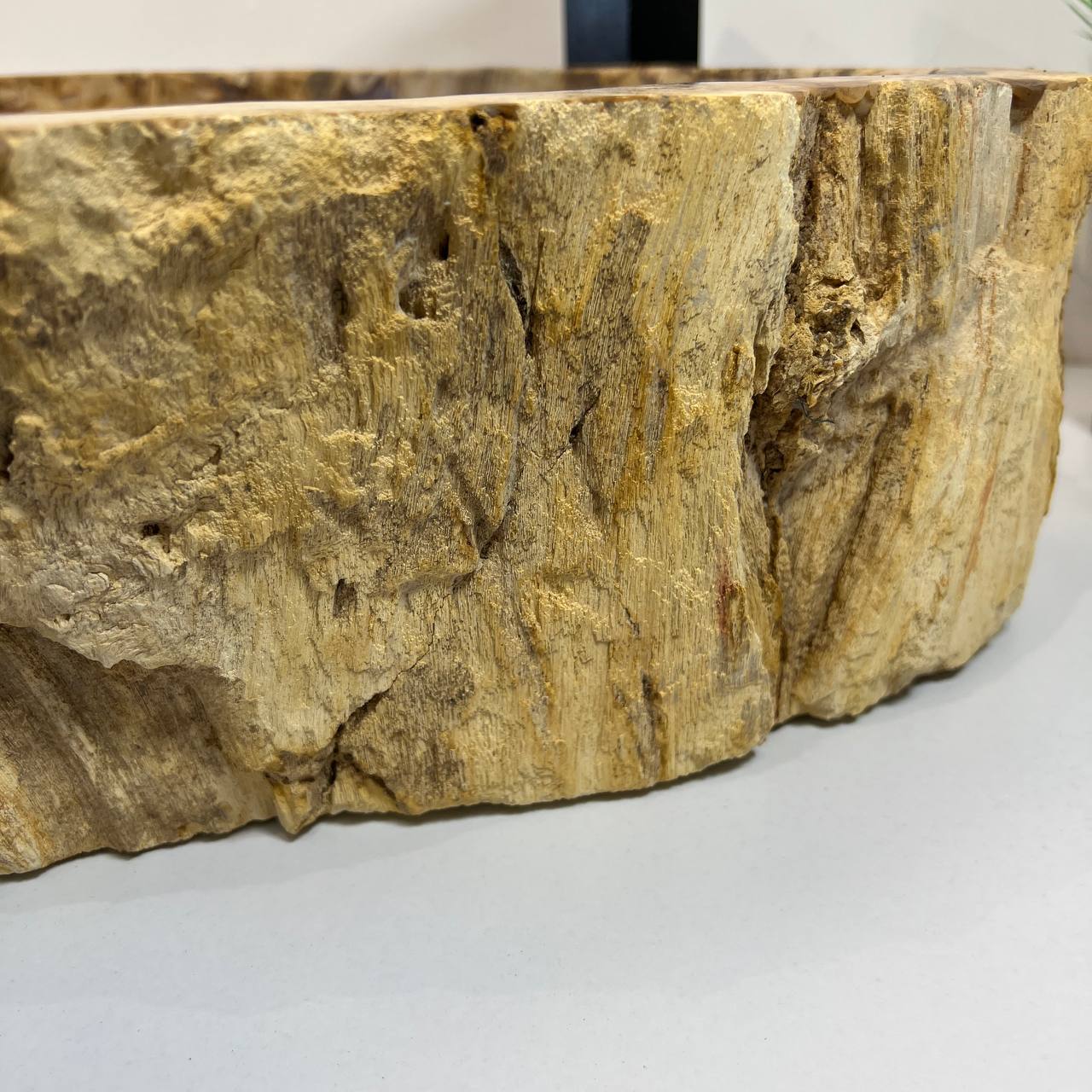 Раковина из окаменелого дерева ПАРА! OD-66906 70*47*15 из натурального камня