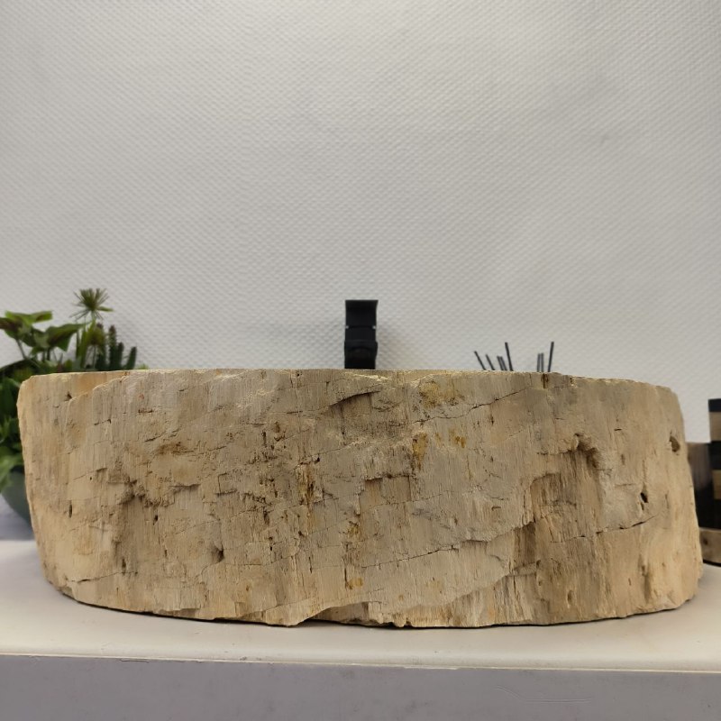 w6pmf11crp5dd8w6b1iiu36wj1dylism