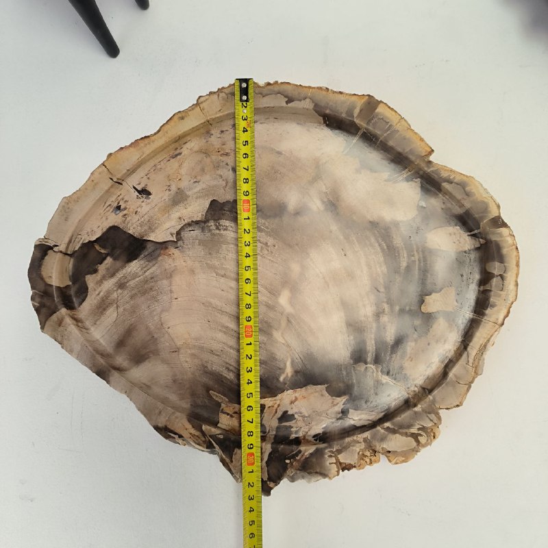 whu4f8c16jx2r2xo8hd2fj6y86wf8xiv