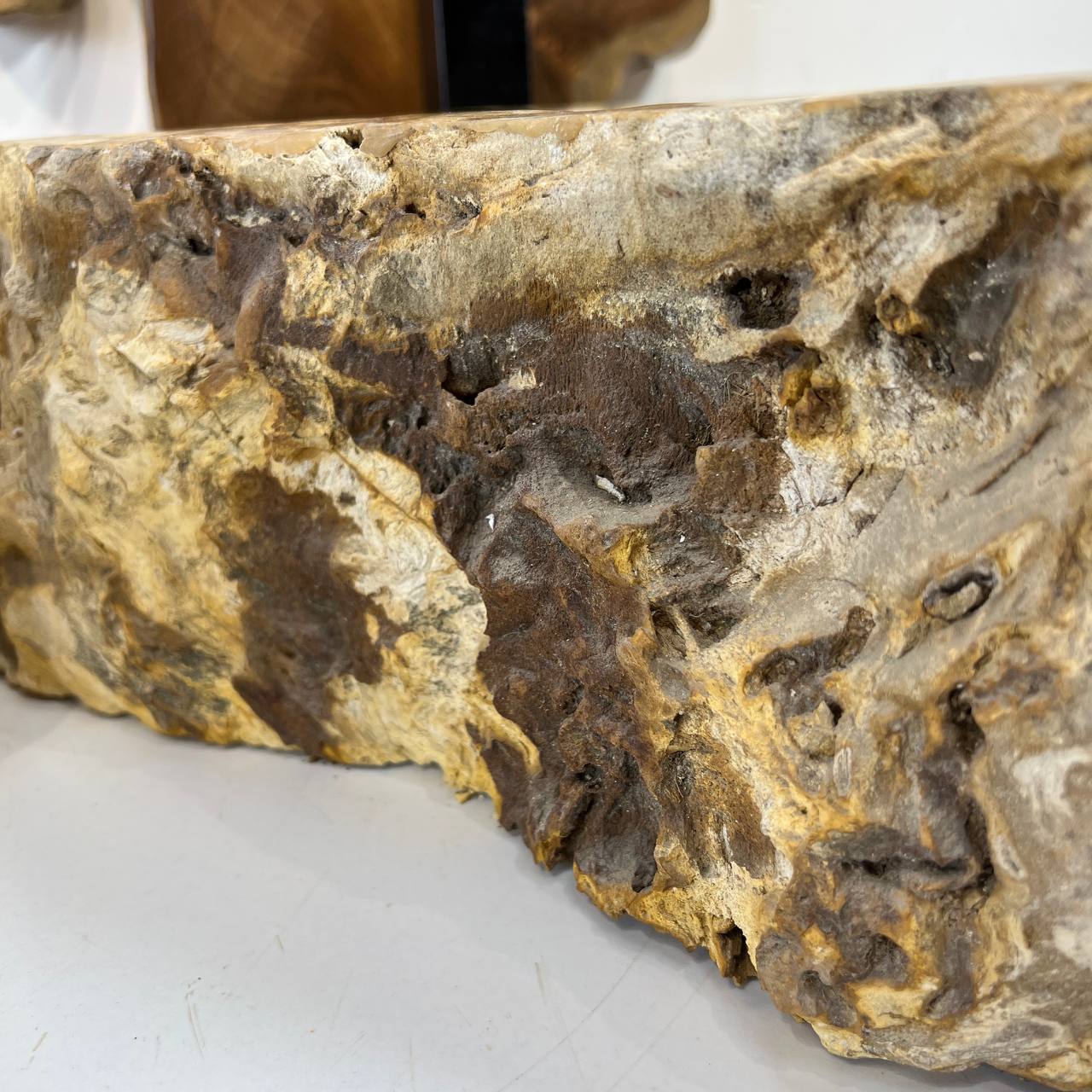 Раковина из окаменелого дерева ПАРА! OD-66877 60*47*15 из натурального камня