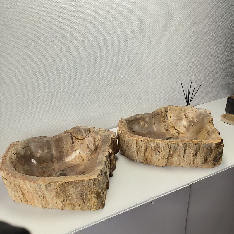 Раковина из окаменелого дерева ПАРА! OD-62096 55*55*15 2шт из натурального камня