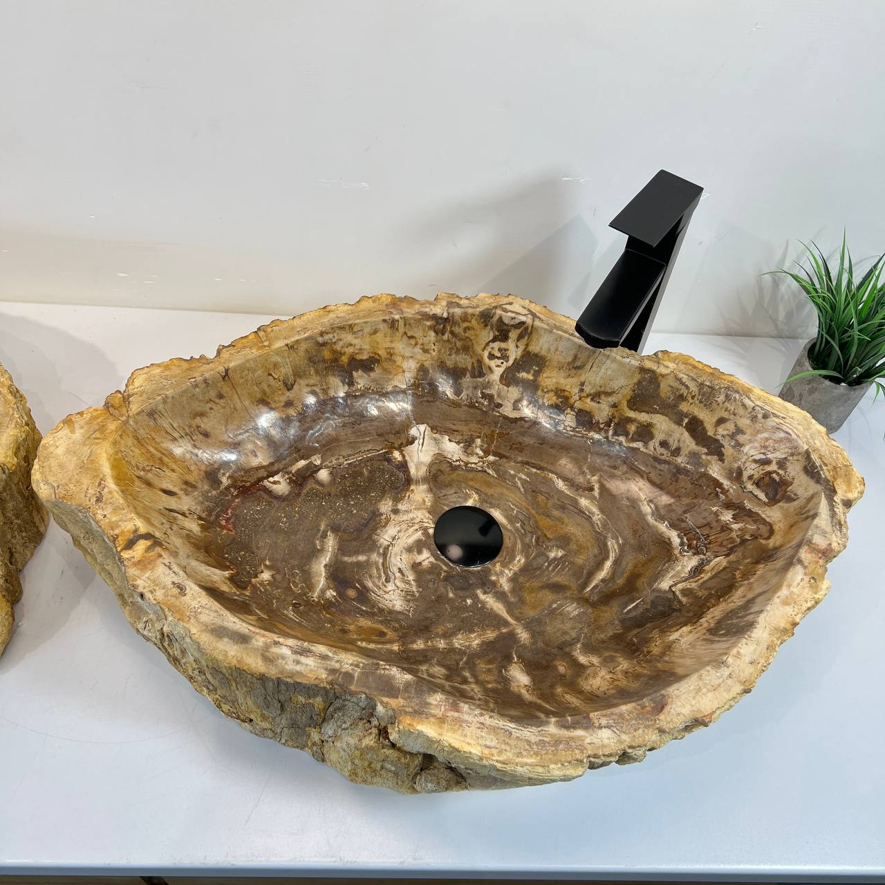 Раковина из окаменелого дерева ПАРА! OD-66906 70*47*15 из натурального камня