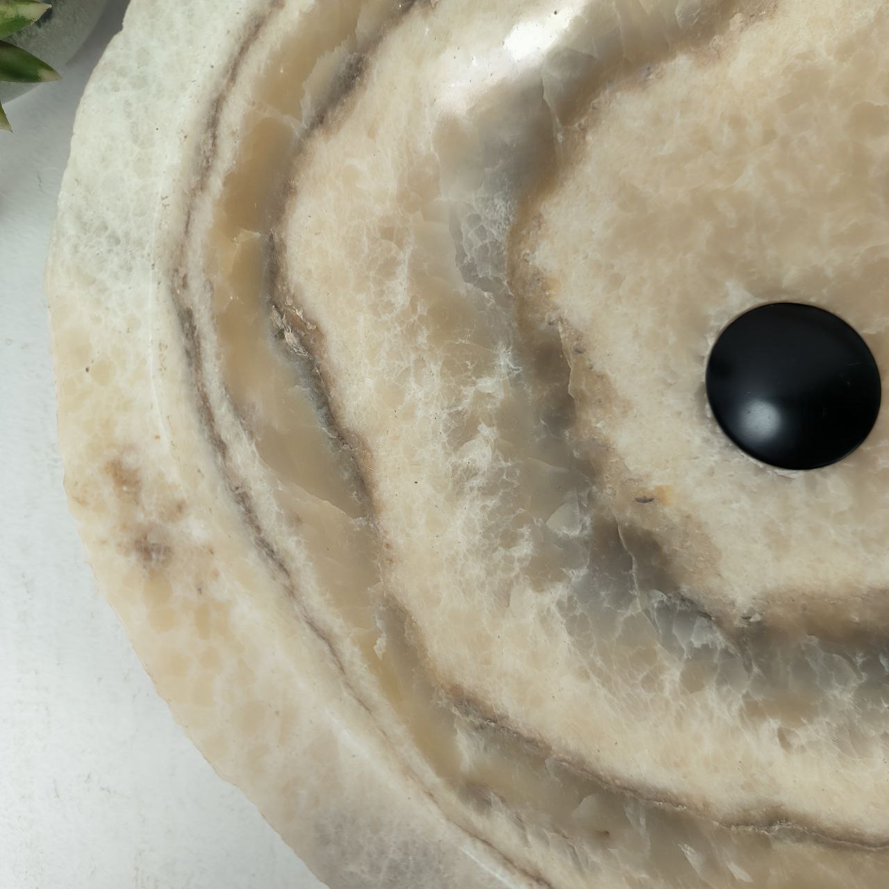 2ivdmbpt83lsggizk4lkmh21iu1lpt22