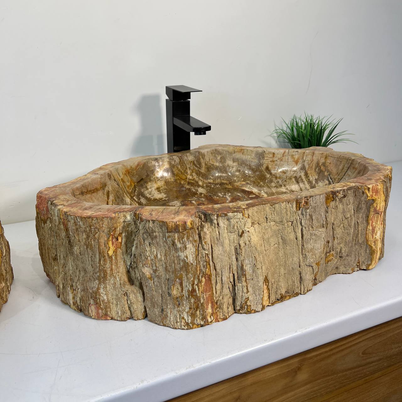 Раковина из окаменелого дерева ПАРА! OD-67011 63*46*16 из натурального камня