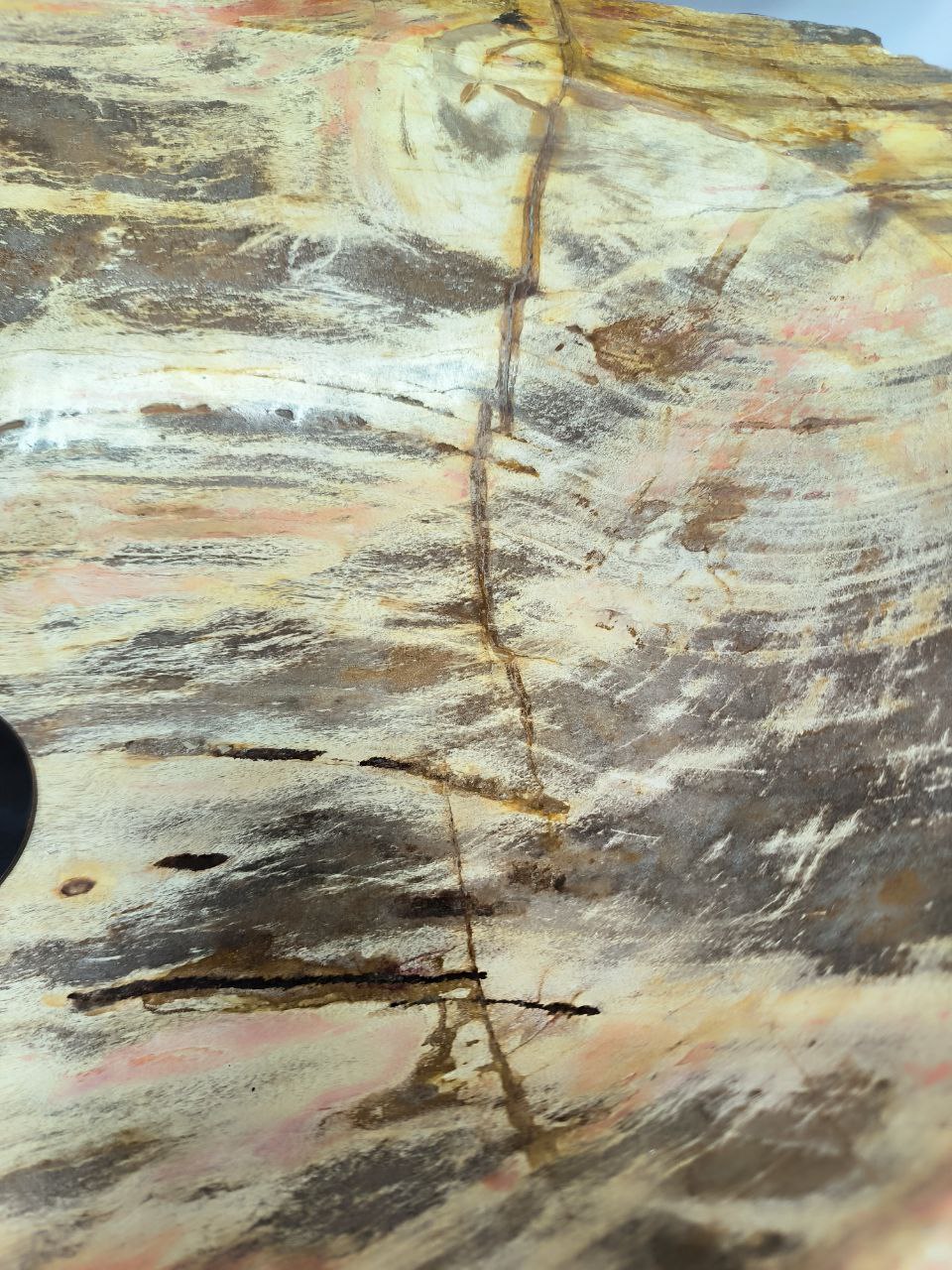 558183a8-9bdf-40f3-865c-476ebdb56e1c