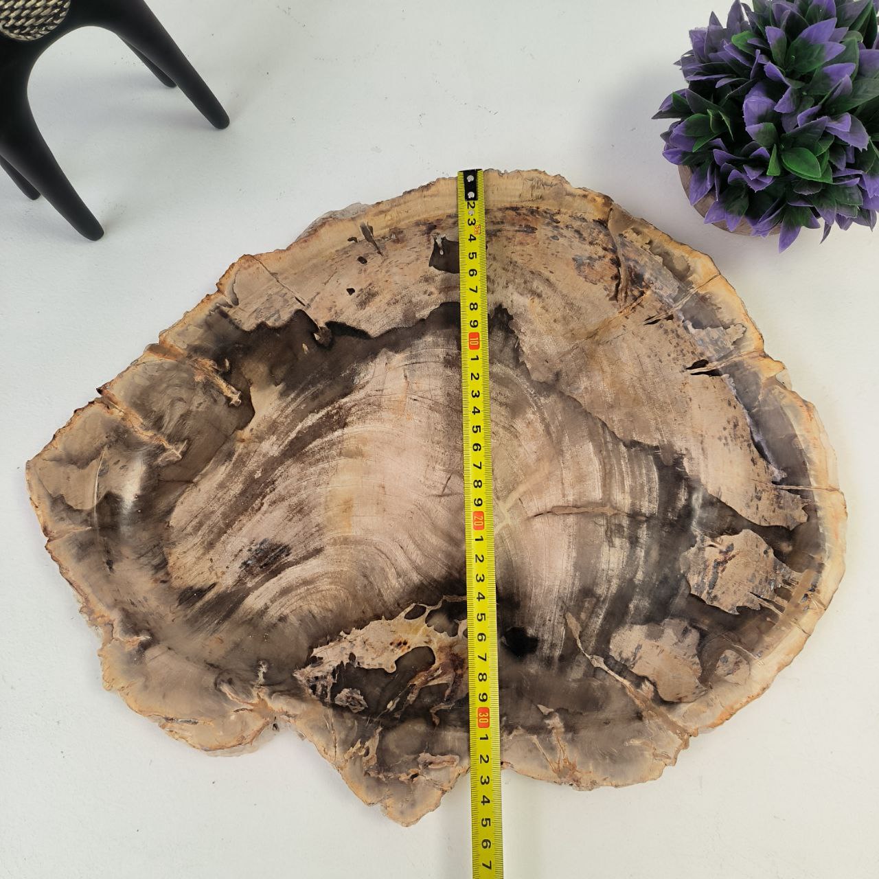 Набор из окаменелого дерева 4 предм Fossil Set NF-62858 поднос 35см*44см