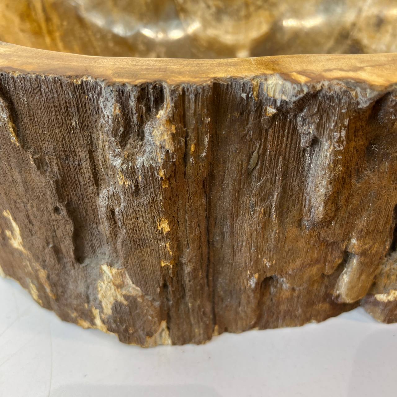Раковина из окаменелого дерева ПАРА! OD-67003 61*34*15 из натурального камня