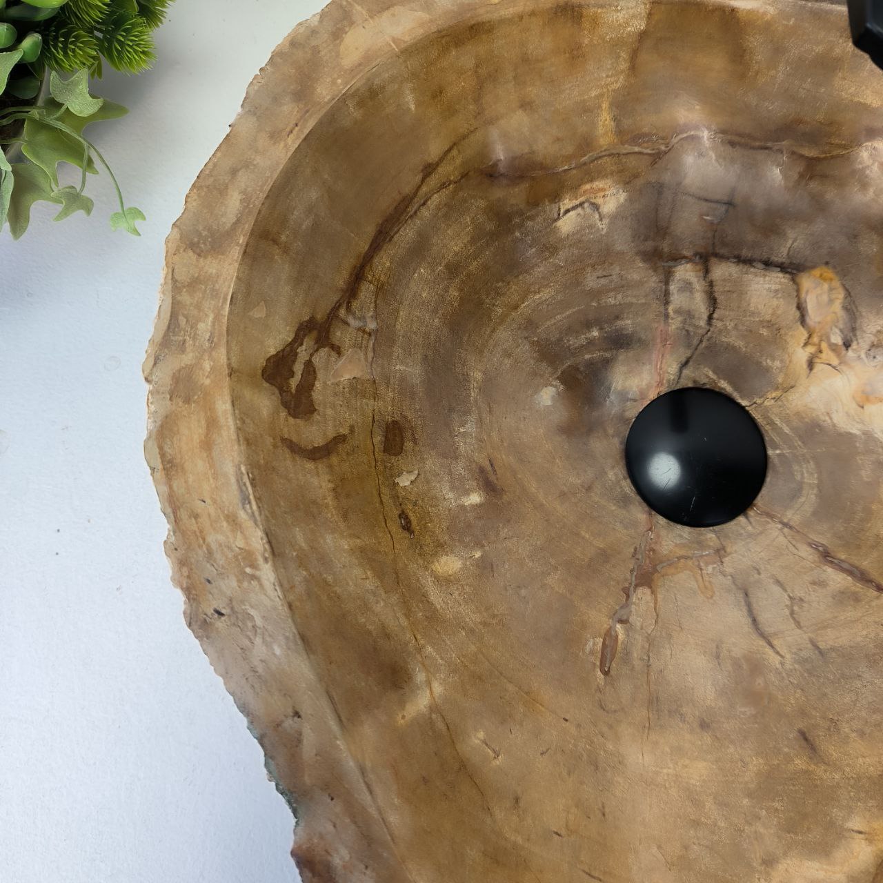 sdyh6e91pxxcal0y7zdnk1jlalqct62p