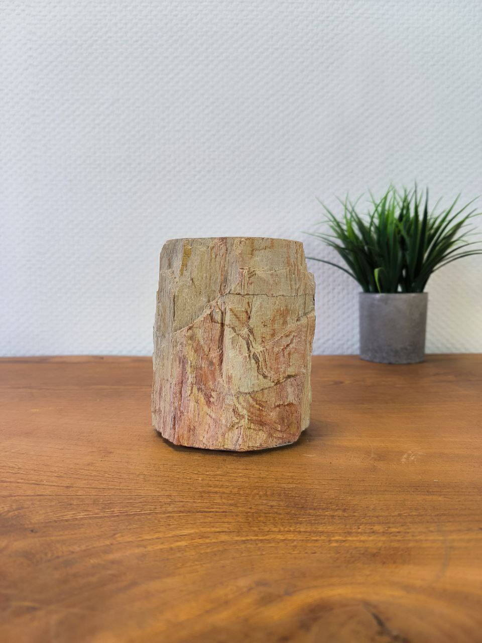 photo_2025-08-27_14-17-28 (5)