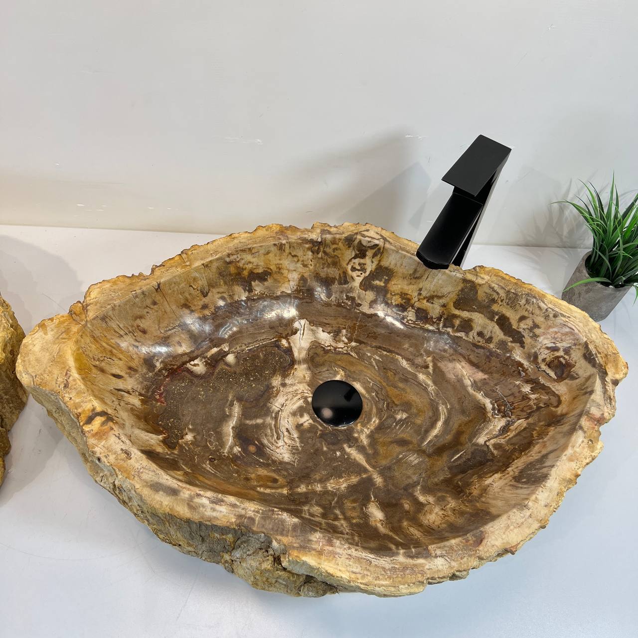 Раковина из окаменелого дерева ПАРА! OD-66906 70*47*15 из натурального камня